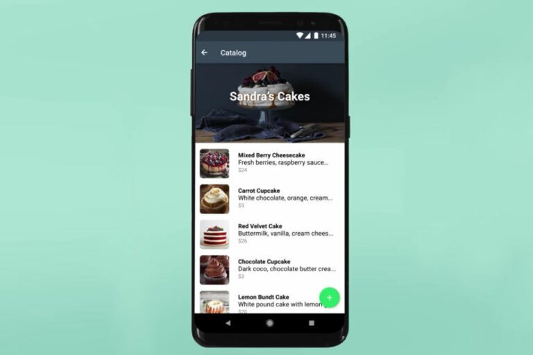 WhatsApp for Business Added Catalog Feature to Showcase Products