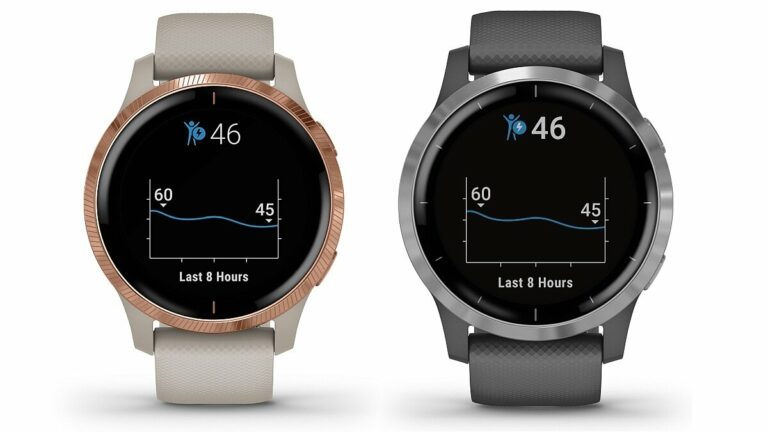 Garmin Launched Venu, Vivoactive 4 Smartwatches in India