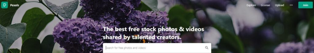 unsplash-1-Free-stock-images-&-Videos
