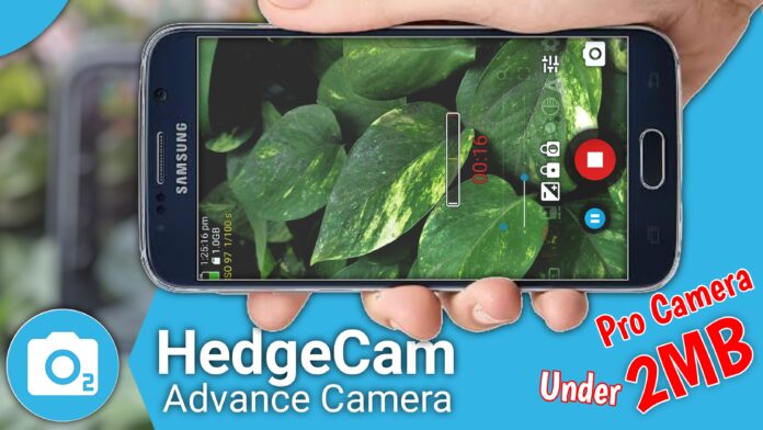 hedgecam 2